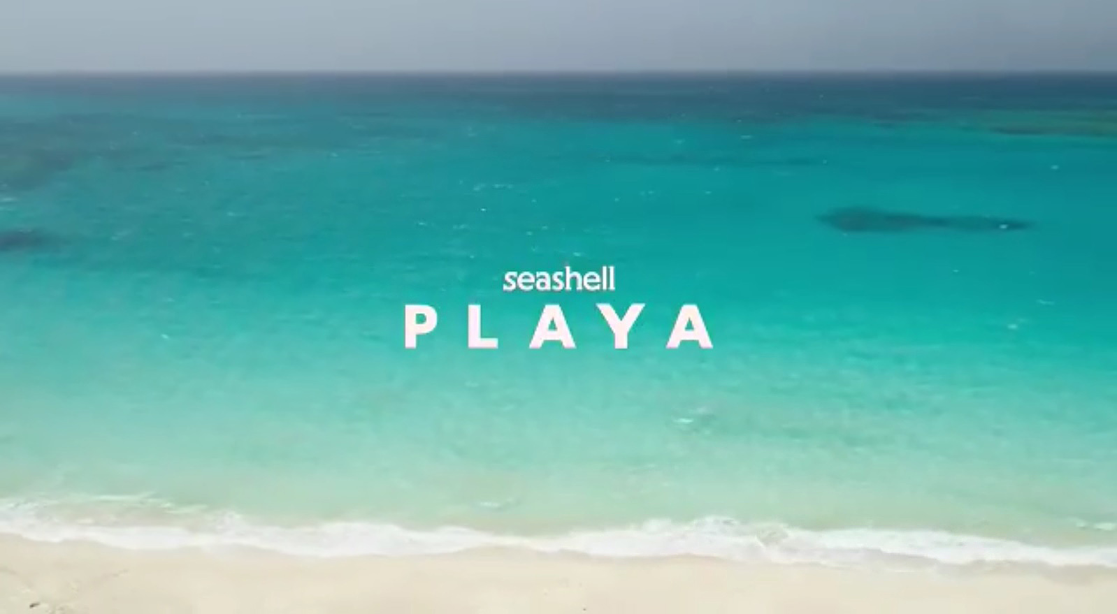 Playa  Seashell